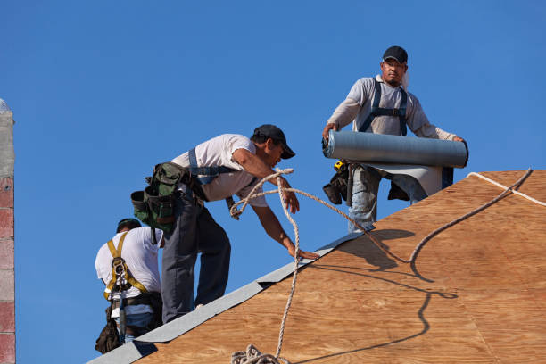 Best Roof Gutter Cleaning  in Benton, IL