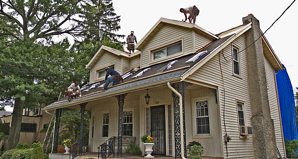 Best Storm Damage Roof Repair  in Benton, IL